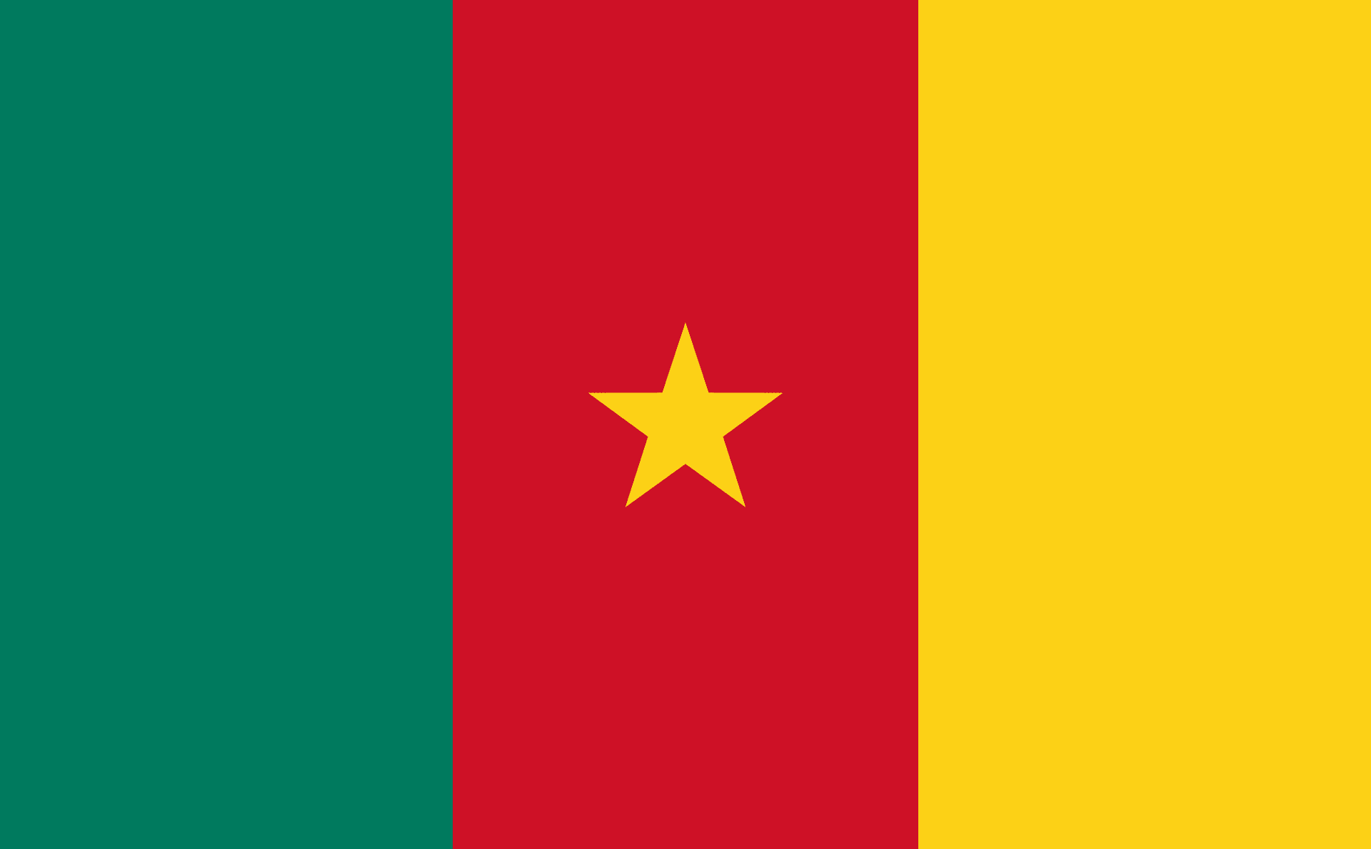 الكاميرون flag